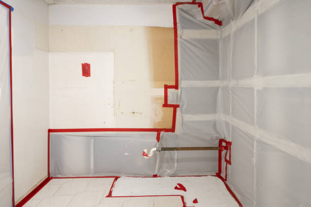 Reliable Dundee, NY Mold Removal Solutions